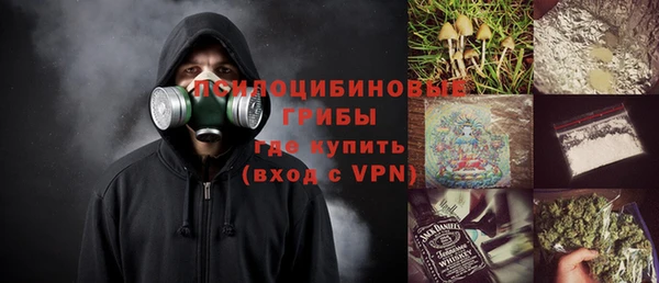 ПСИЛОЦИБИНОВЫЕ ГРИБЫ Лихославль
